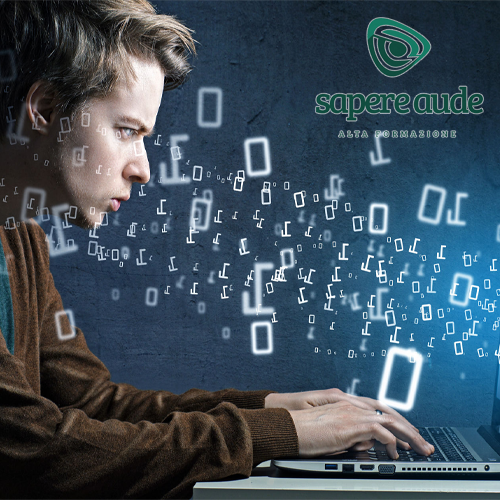sviluppatore software